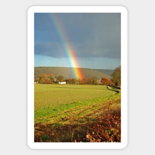 Rainbow tree Sticker